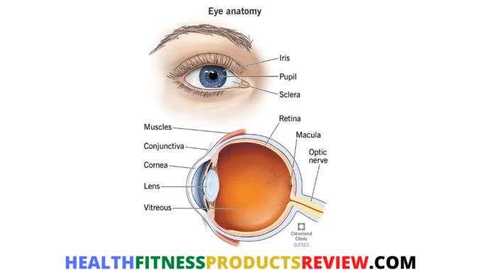 Vision Formula Review Best Discount Offer